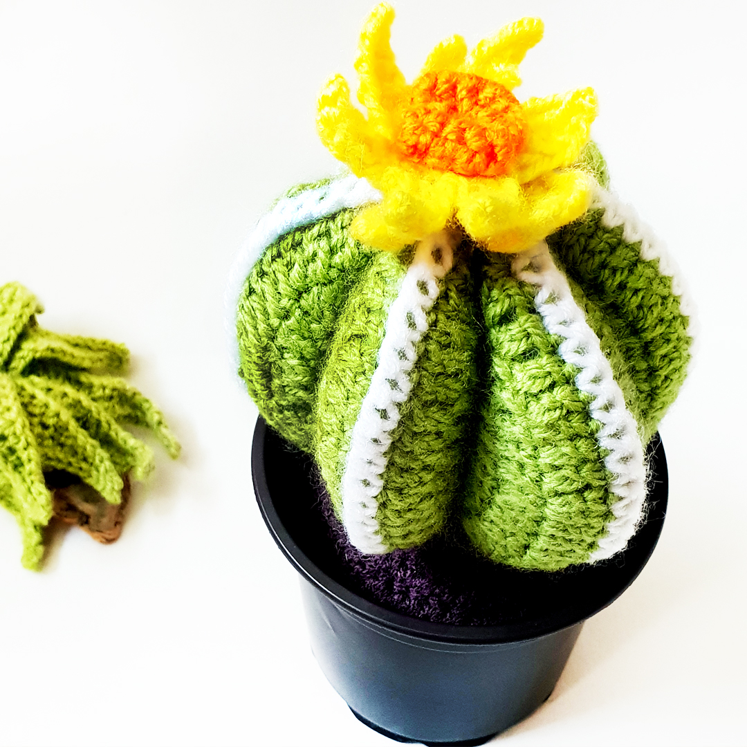 Crochet pattern for a succulent cacti